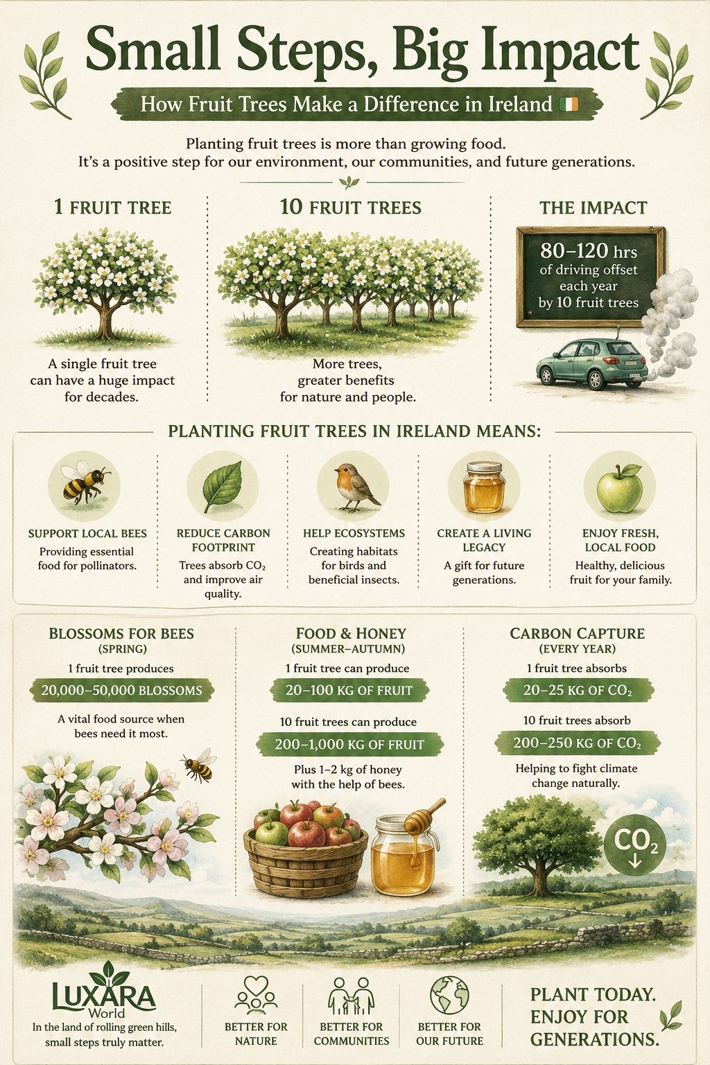 Small Steps, Big Impact: How Fruit Trees Help Ireland’s Environment