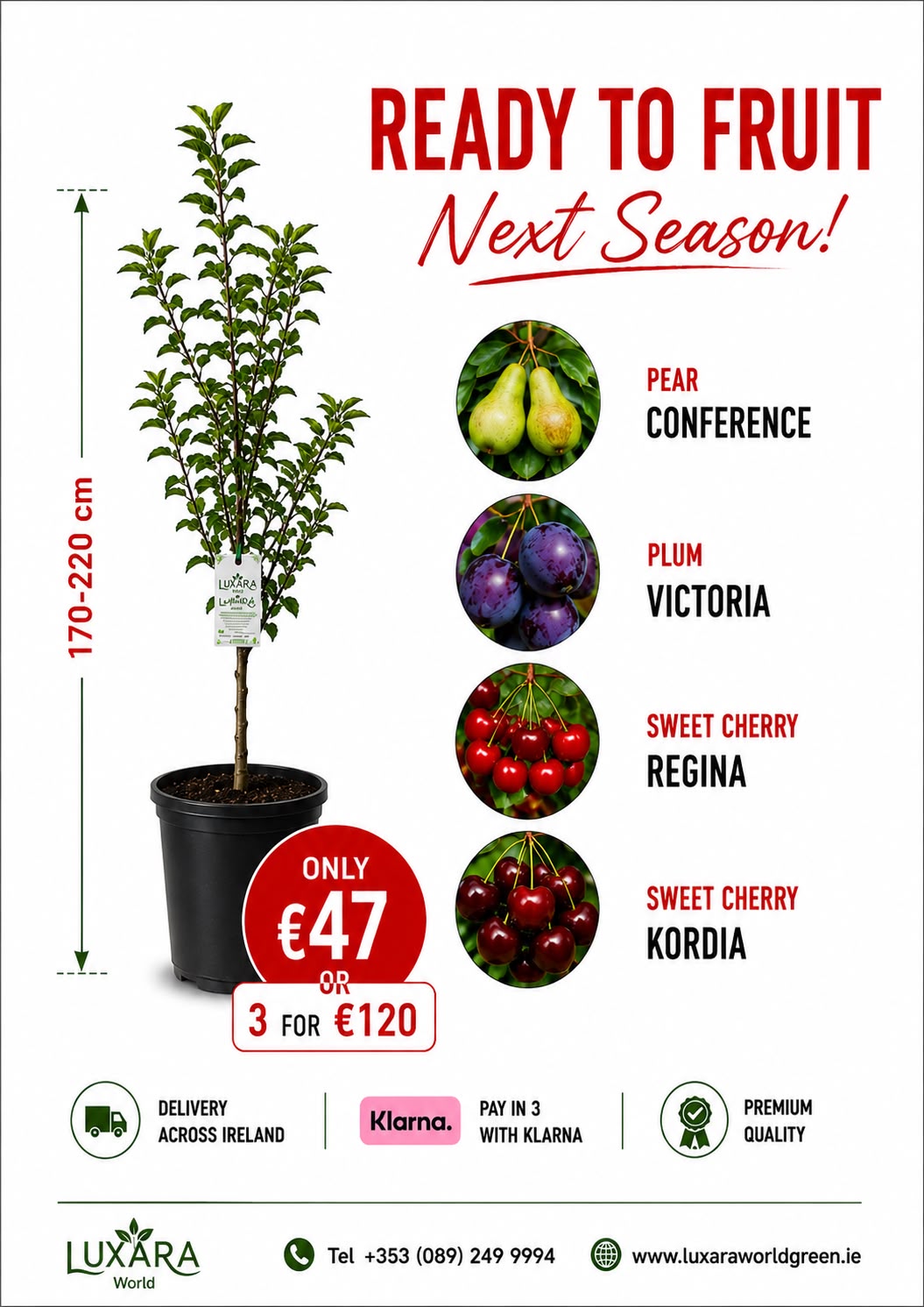🌳 Plant This Year. Harvest Next Season. 🍐🍒🍑