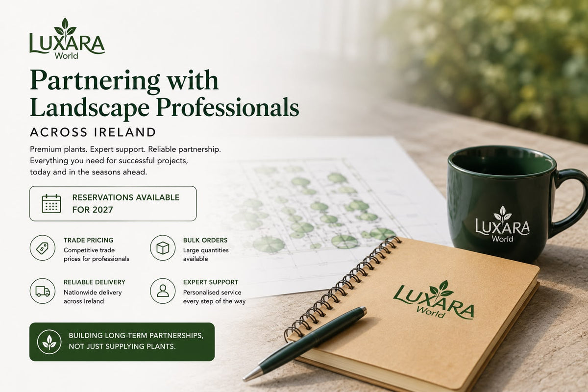How We Support Landscape Designers Across Ireland