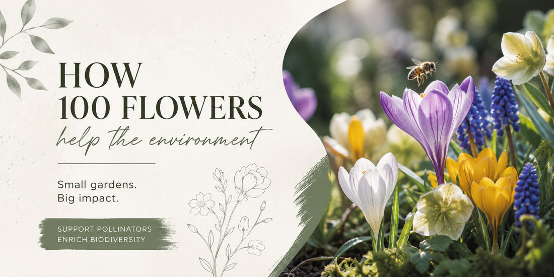 How Just 100 Flowers Can Make a Difference: A Scientific Look at Pollinator-Friendly Gardens in Ireland