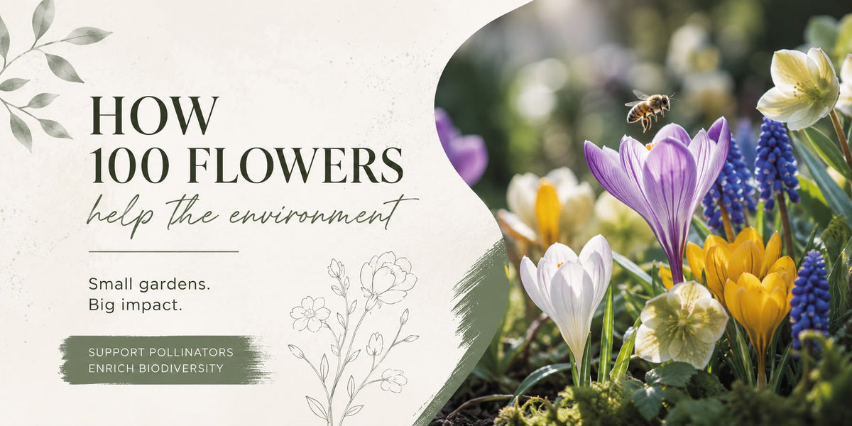 How Just 100 Flowers Can Make a Difference: A Scientific Look at Pollinator-Friendly Gardens in Ireland