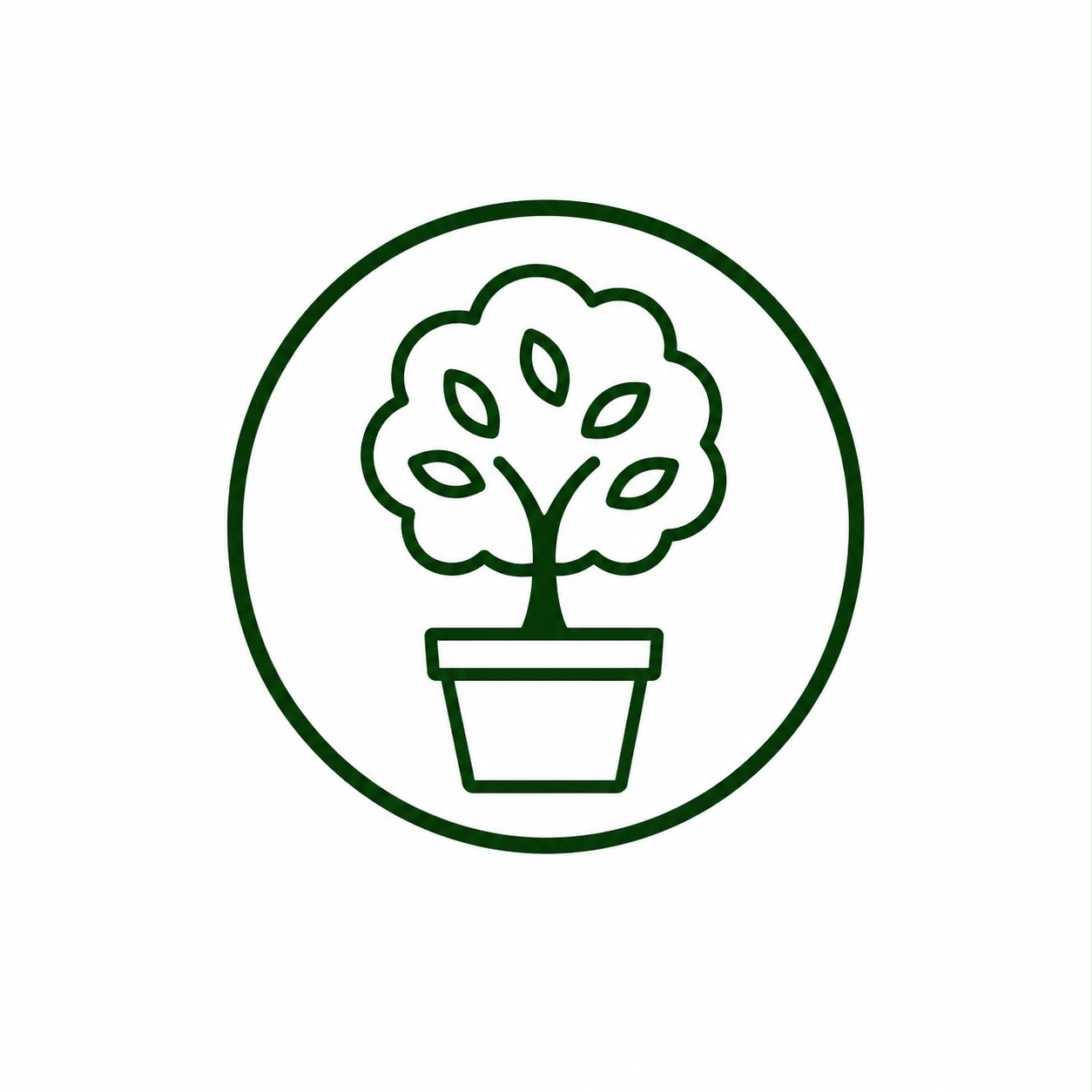 Potted Fruit Trees