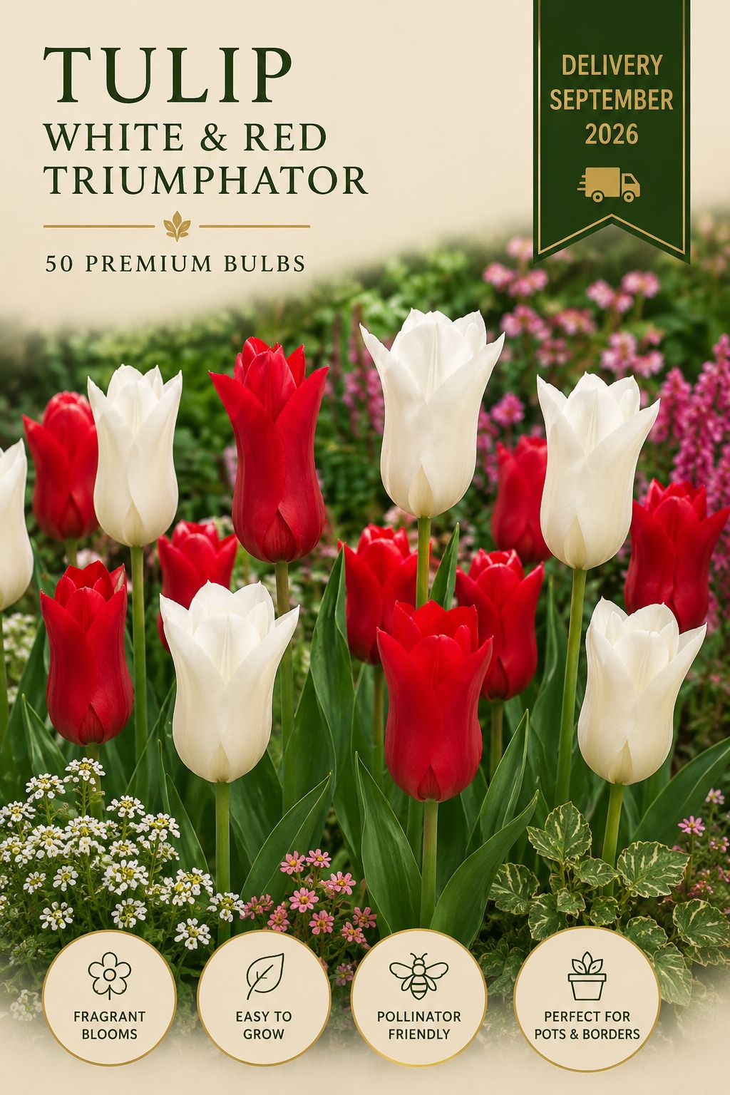 White triumphator & red shine mix 50 premium bulbs
