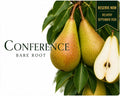 Pear Tree "Conference"