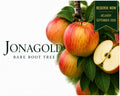 Apple Tree “Jonagold” — Bare Root Pre-Order for September Deliver