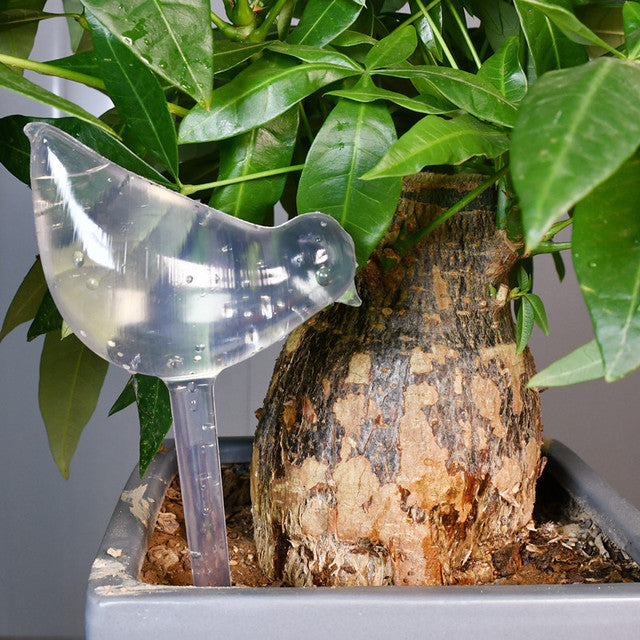 Auto Drip Irrigation System Automatic Watering Plants Flower Indoor Gardening Household Waterer Bottle Greenhouse Home Wholesale