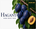 Haganta Plum Tree (Bare Root) 160-180 cm Pre-order October-November Delivery